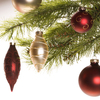 J. Kelley Studios 2008 "The Most Wonderful Time Of The Year" - DVD