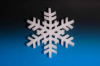 STARS with GRACE "Winter Wonderland" - DVD